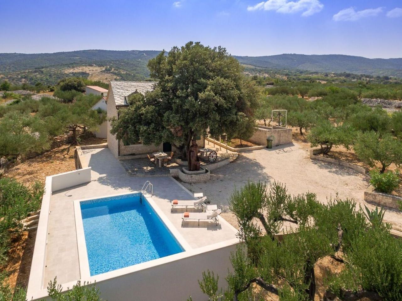 Villa Dubrava Tranquil Retreat Nestled In An Olive Grove For Serene Escapes Pucisca Exterior foto